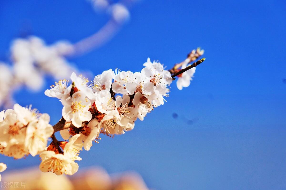 令人莫名心酸的朋友圈文案，总有一句让你沉默