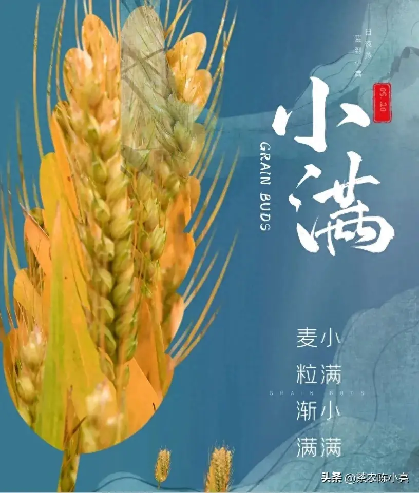 原创节气“小满”的朋友圈文案句子，人生最好是“小满”