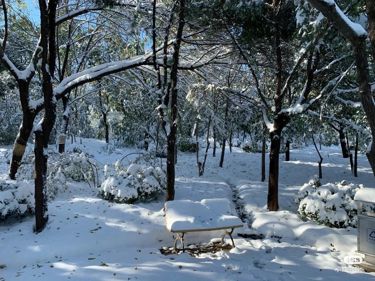 关于雪融化的文案（?️配雪景文案，有没有想好呀?️）